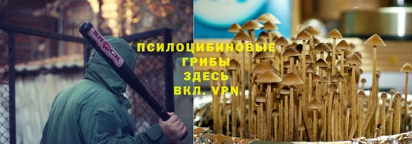 молекула духа Балабаново